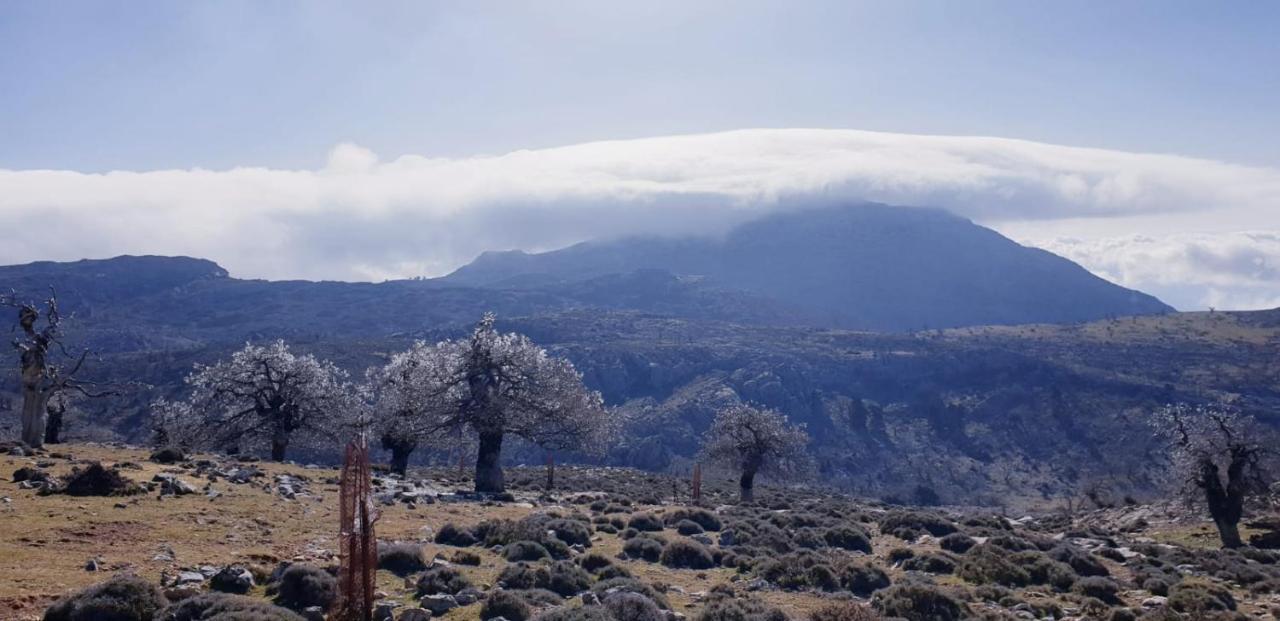 Hotel Sierra Hidalga Ronda Exteriér fotografie